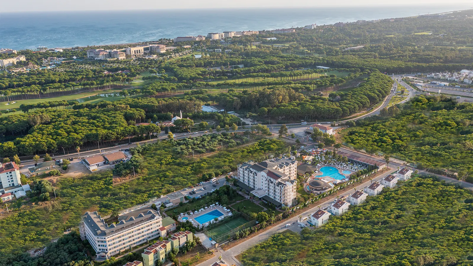 Amon Hotels