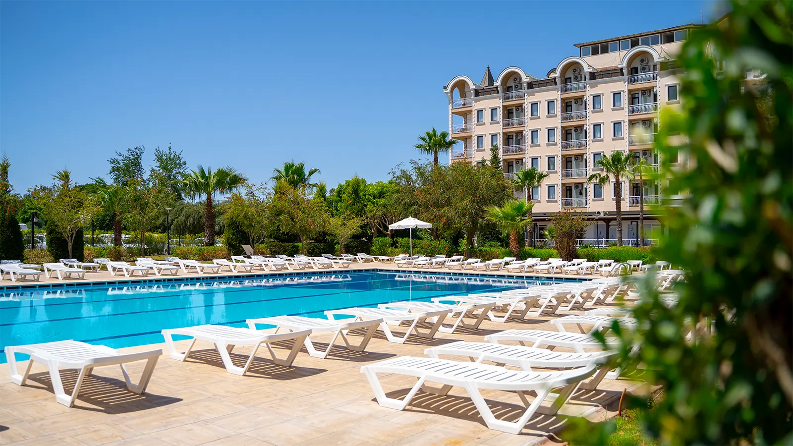 Amon Hotels
